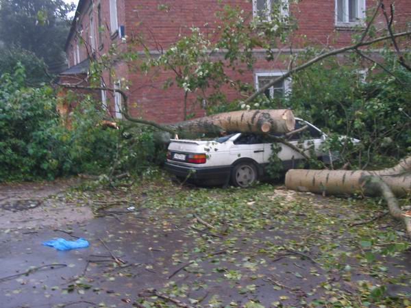 Дерево упало на машину припаркованную у дома