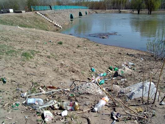 Грязь на берегу водоёма