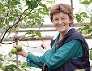 Галина Дмитриевна Корнеева, в прошлом агроном-технолог, управляющая тепличным комбинатом «Матвеевского». На пенсии ей тоже нашлось любимое дело — выращивание лимонов