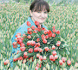 Помощник начальника участка, овощевод Рамиля Миндубаева с удовольствием занимается цветами