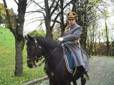 Антон Кузнецов - на боевом коне