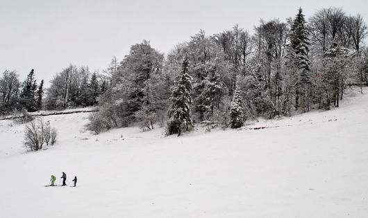 Зимние радости или где одинцовцам кататься на беговых лыжах?