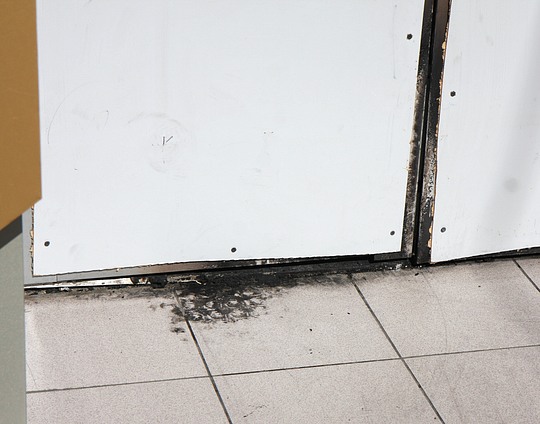 Ночной пожар в Одинцово: хулиганы подожгли «Клубнику»