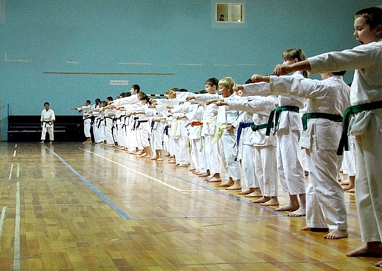 В Одинцово прошел семинар по карате под руководством известного сенсея Масао КАВАЗОЕ