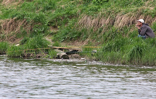 «Экологическая катастрофа» на водоеме в восьмом микрорайоне