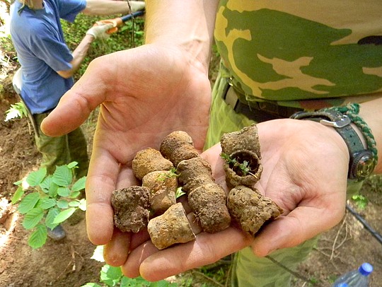 Предохранительные колпачки от миномётных мин