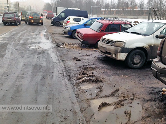 Врач для попугаев в москве