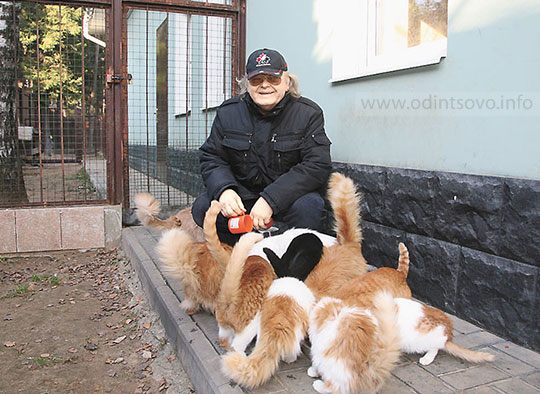 Юрий Антонов и его кошки
