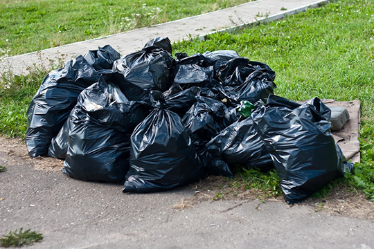 Спасатели собрали 70 мешков мусора у пруда в Одинцовском районе