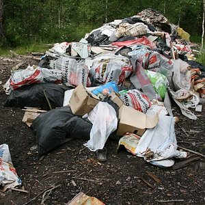 Из одинцовского леса вывезли 75 тонн мусора