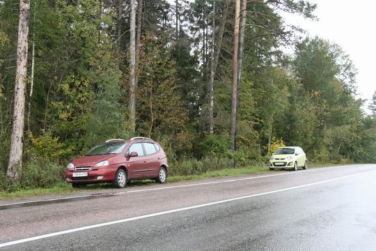 Автомобили в лесу