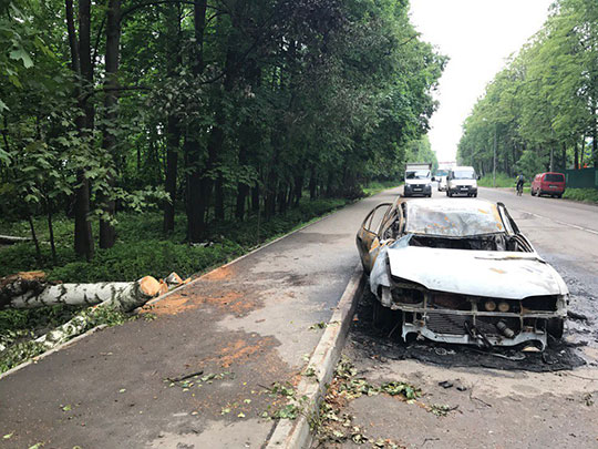 В Трёхгорке сгорел автомобиль 