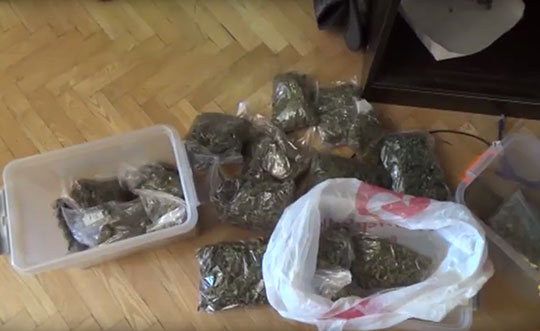 Коноплю и марихуану изъяли в Одинцово