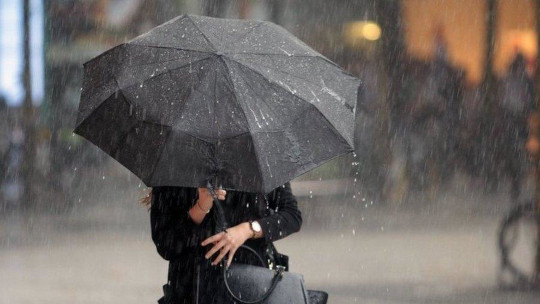 МЧС объявило экстренное предупреждение в Подмосковье из-за сильного дождя и ветра