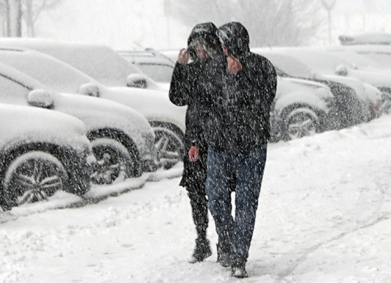 МЧс объявило экстренное предупреждение из-за снегопада