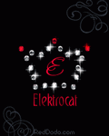 Elektrocat1