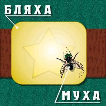 Поздравление с днем рождения мужчине бляха муха