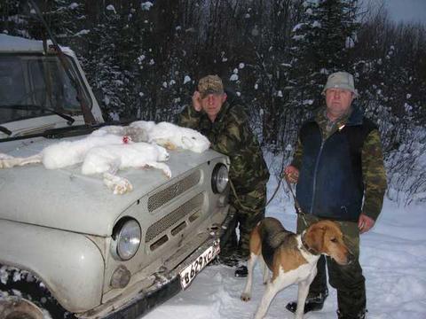 рыбалка в районе красноборском районе рыбалка в районе красноборском районе