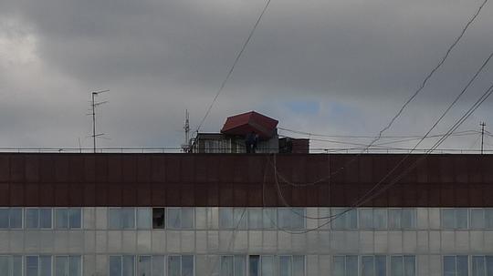 фото сделано 20 апреля… Посмотрим что сделают, на крыше дома, zubra, Одинцово