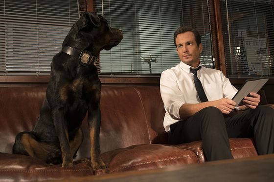 Псы под прикрытием Show Dogs