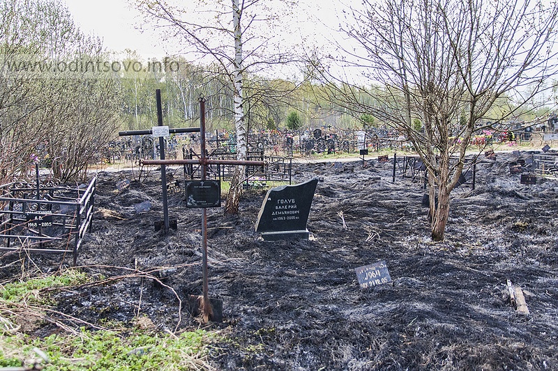 Пожар на кладбище Лайково, Последствия пожара на кладбище Лайково