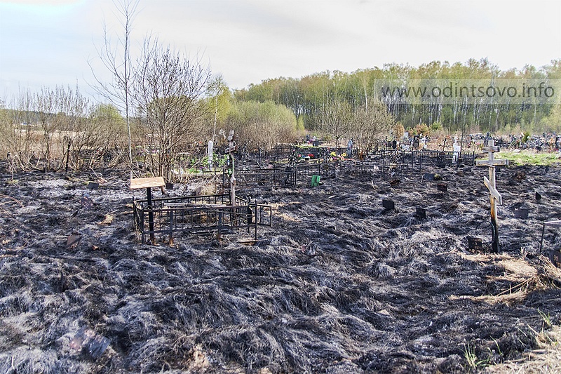Пожар на кладбище Лайково, Последствия пожара на кладбище Лайково