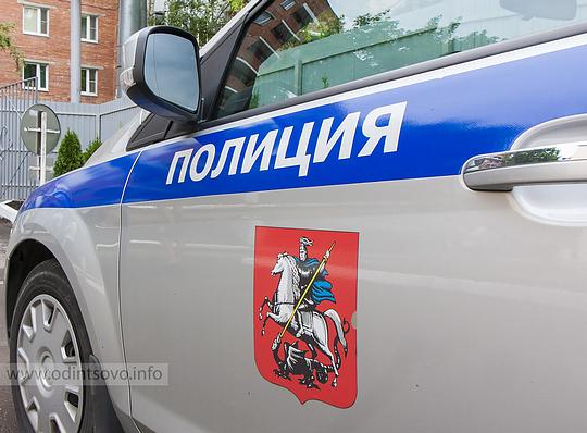 Мероприятия полиции, милиции Одинцовского района, Полиция
