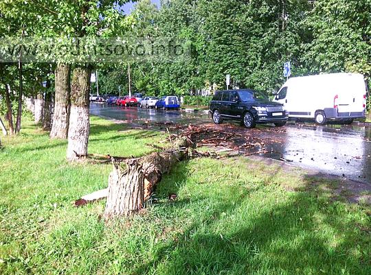 Ураган — 02.07.2014, Ветер повалил дерево на улице Северная