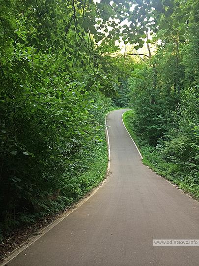 Публичные слушания по лыжероллерной трассе