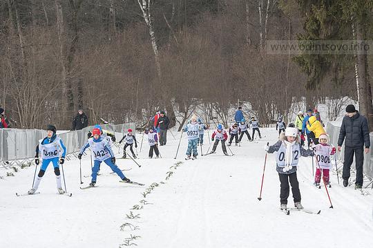 День лыжника-2015