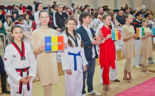 Первый открытый международный фестиваль по тхэквондо на Кубок главы Одинцовского район