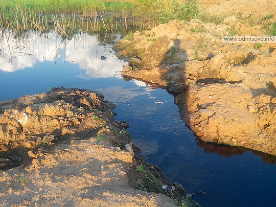 Из-за разлива канализации в Одинцово на грани экологической катастрофы все Подмосковье