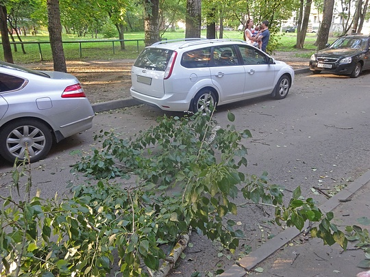 В Одинцово ветка тополя рухнула на машину, где сидели мама с грудным ребенком, Хозяева машины с детьми