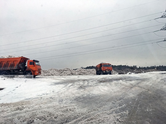 Снегосвалка Одинцово — экологическая угроза, Камазы регулярно сваливают снег на поле