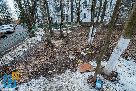 Состояние дворовых территорий в центре Одинцово