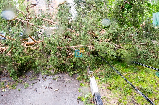 Ураган с дождем прошел в Одинцово