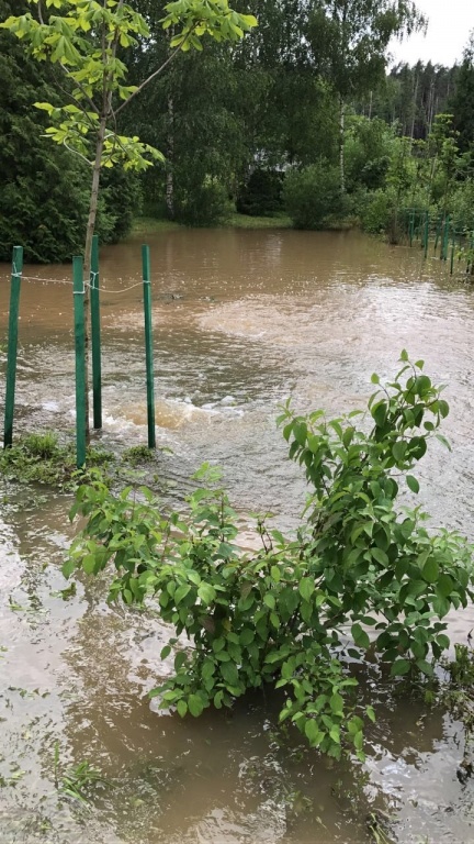 Тропический ливень затопил и парковые зоны комплекса, Потоп в реабилитационном центре