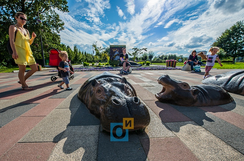 Бегемоты в центре Одинцово, Центр