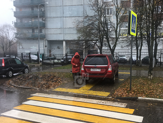 Очередной мастер парковки, около Асвета, Парковка на тротуарах и газонах