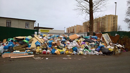 Площадка для сбора мусора, Кубинка-1, Ноябрь