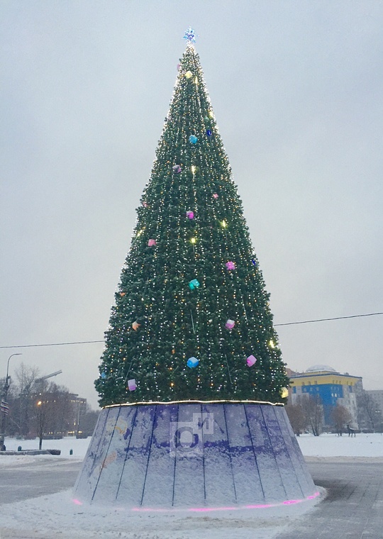 Новогоднюю ель установили в центре Одинцово, Декабрь