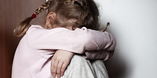 Преступник изнасиловал несовершеннолетнего ребёнка, пока мать девочки отсутствовала, Июль