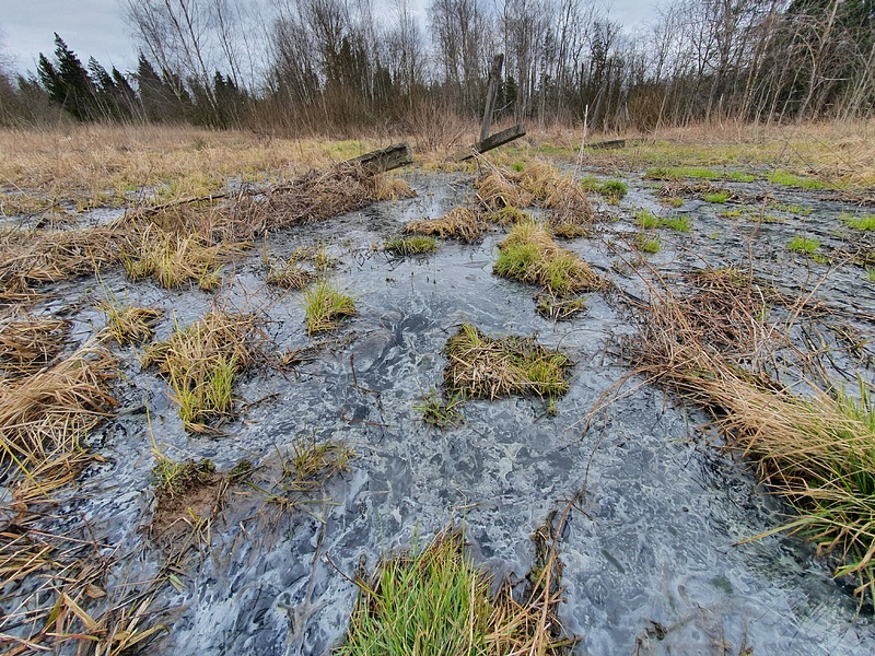 Это фекальное болото — земельные участки, выделенные для многодетных семей, Прорыв: фонтан говна затапливает многодетные семьи