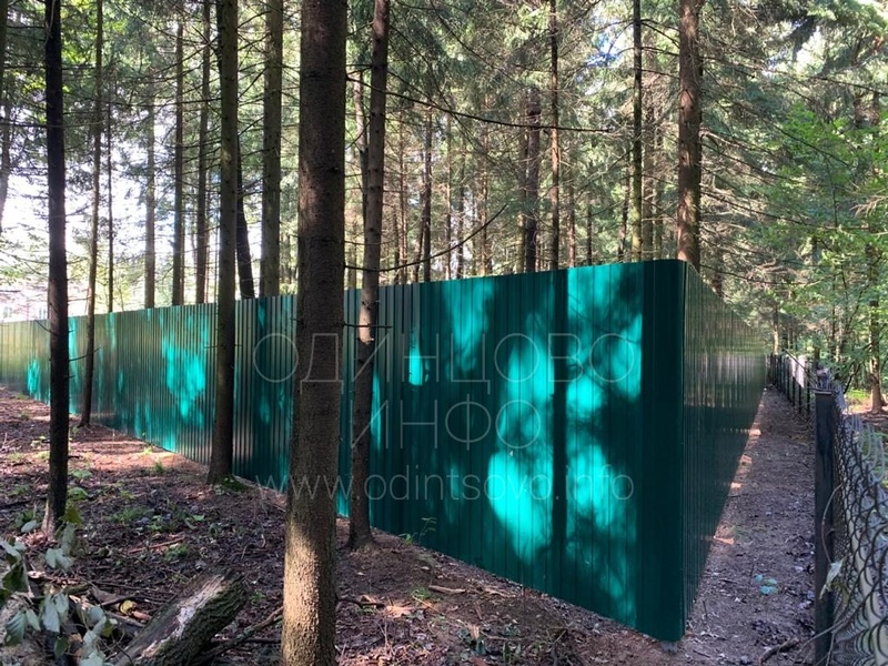 Сплошной зелёный забор, Забор появился в лесу у деревни Матвейково