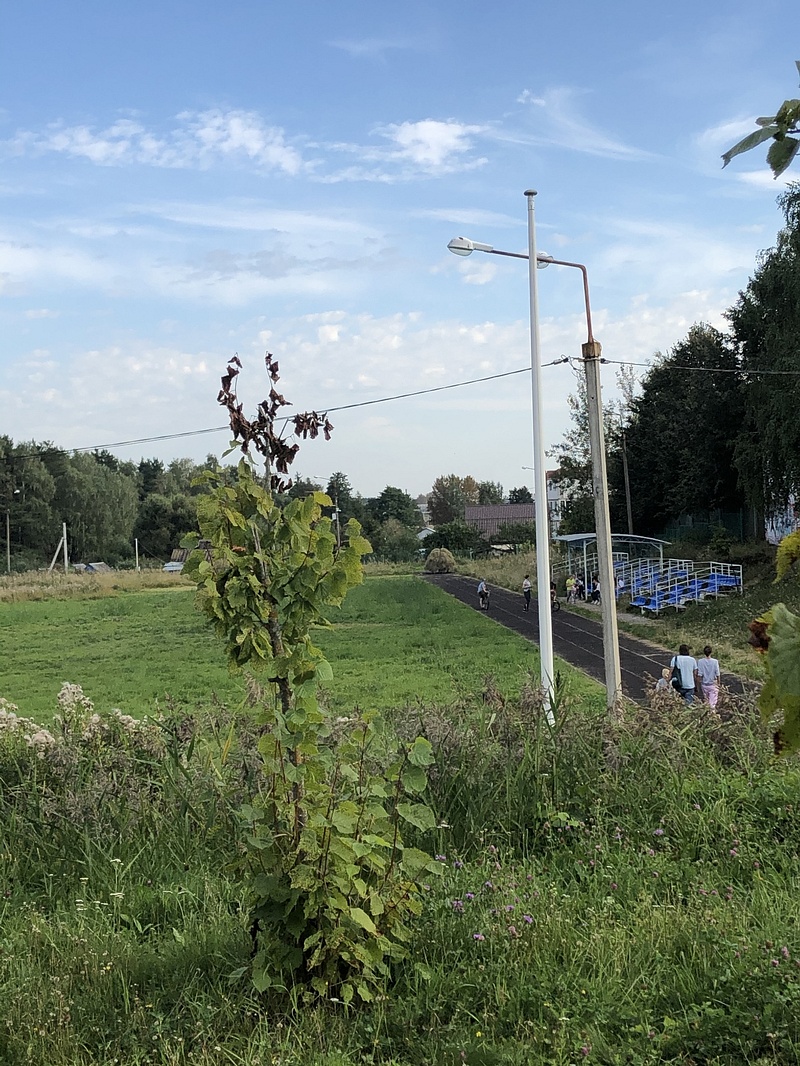 Стадион в деревне Ликино, Чиновники считают нецелесообразным обустройство стадиона в Ликино из-за отсутствия денег в бюджете