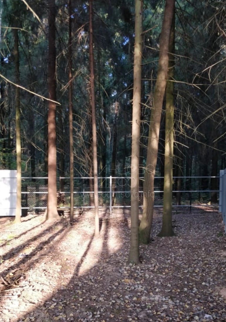 Незаконный забор в лесу у деревни Матвейково начали демонтировать