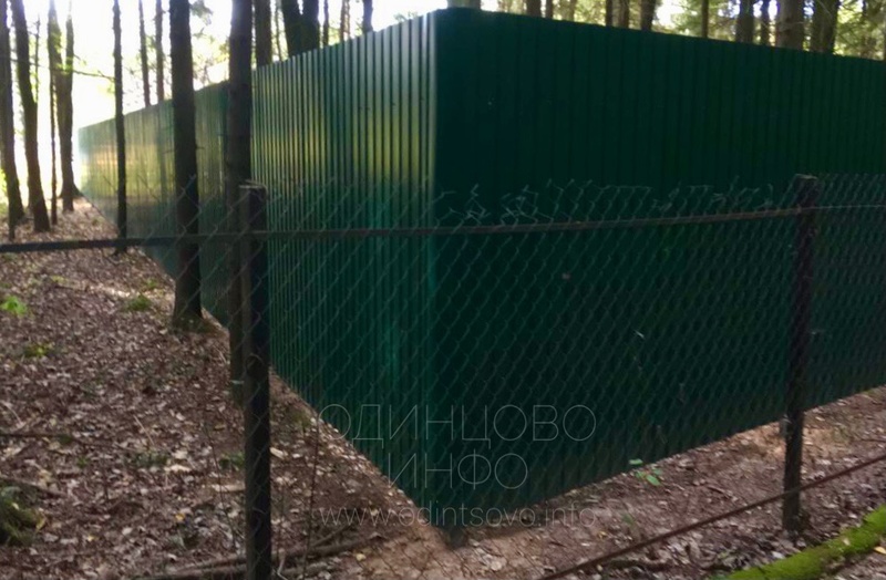 Забор в лесу у деревни Матвейково в Одинцовском округе, Октябрь