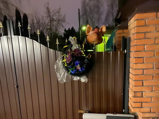 В Одинцовском округе неизвестные насадили на забор дома пенсионера похоронный венок и голову свиньи, Январь