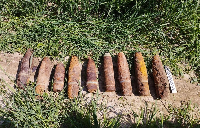 9 боеприпасов времён ВОВ нашли возле деревни в Одинцовском округе, Июнь