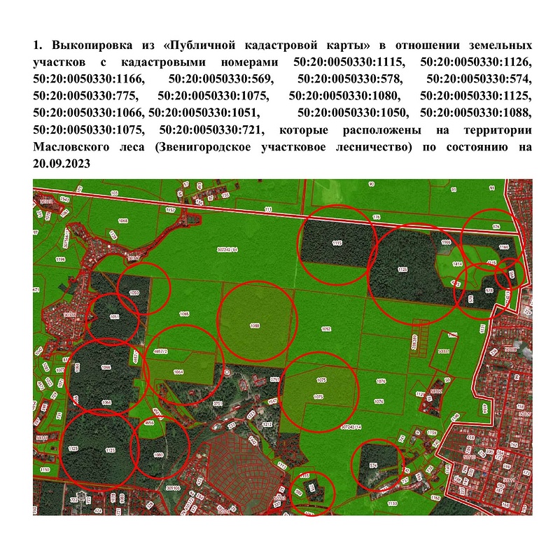 Выкопировка из публичной кадастровой карты по земельным участкам, Активисты: под застройку переведены более 220 гектаров леса в Одинцовском округе